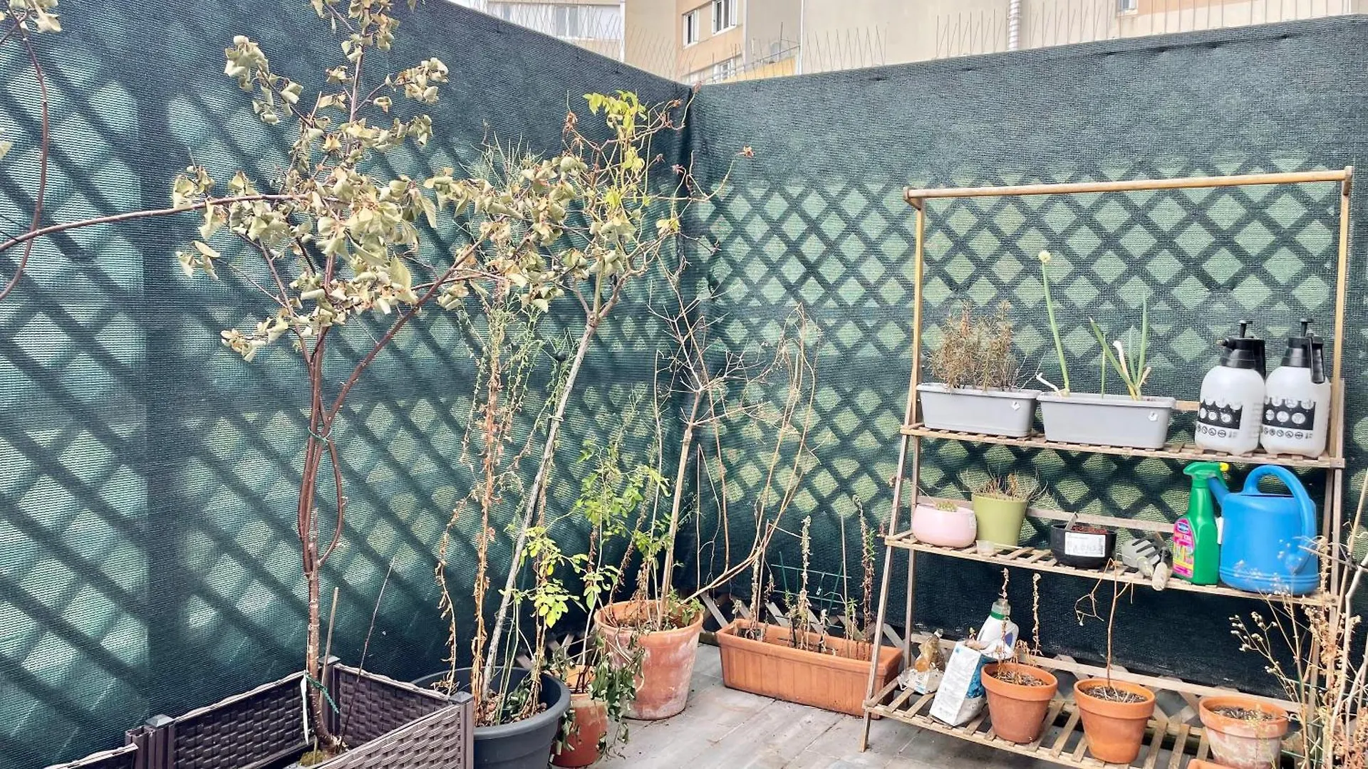 129 - Splendeur Confort Et Modernite, Terrasse Au Coeur De Paris